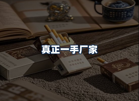专业团队办公环境
